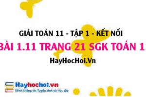 Giải bài 1.11 trang 21 Toán 11 tập 1 SGK Kết nối tri thức